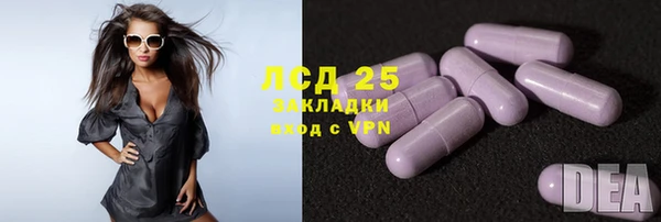 гидра Алексин
