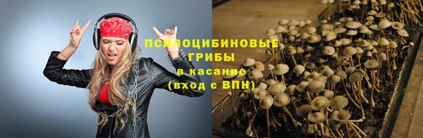 гидра Алексин